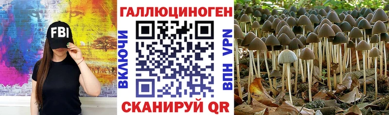 Псилоцибиновые грибы GOLDEN TEACHER  где можно купить   KRAKEN рабочий сайт  Красноуральск 